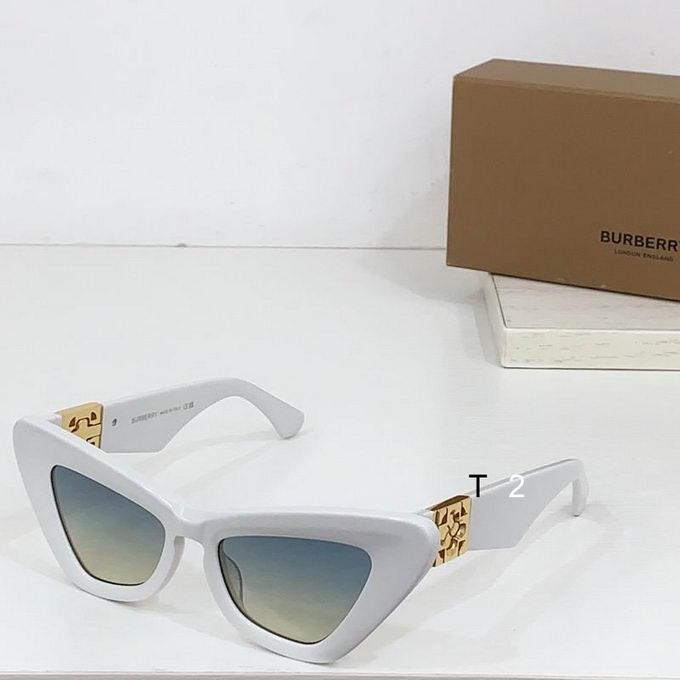 Burberry Sunglasses ID:20250529-76